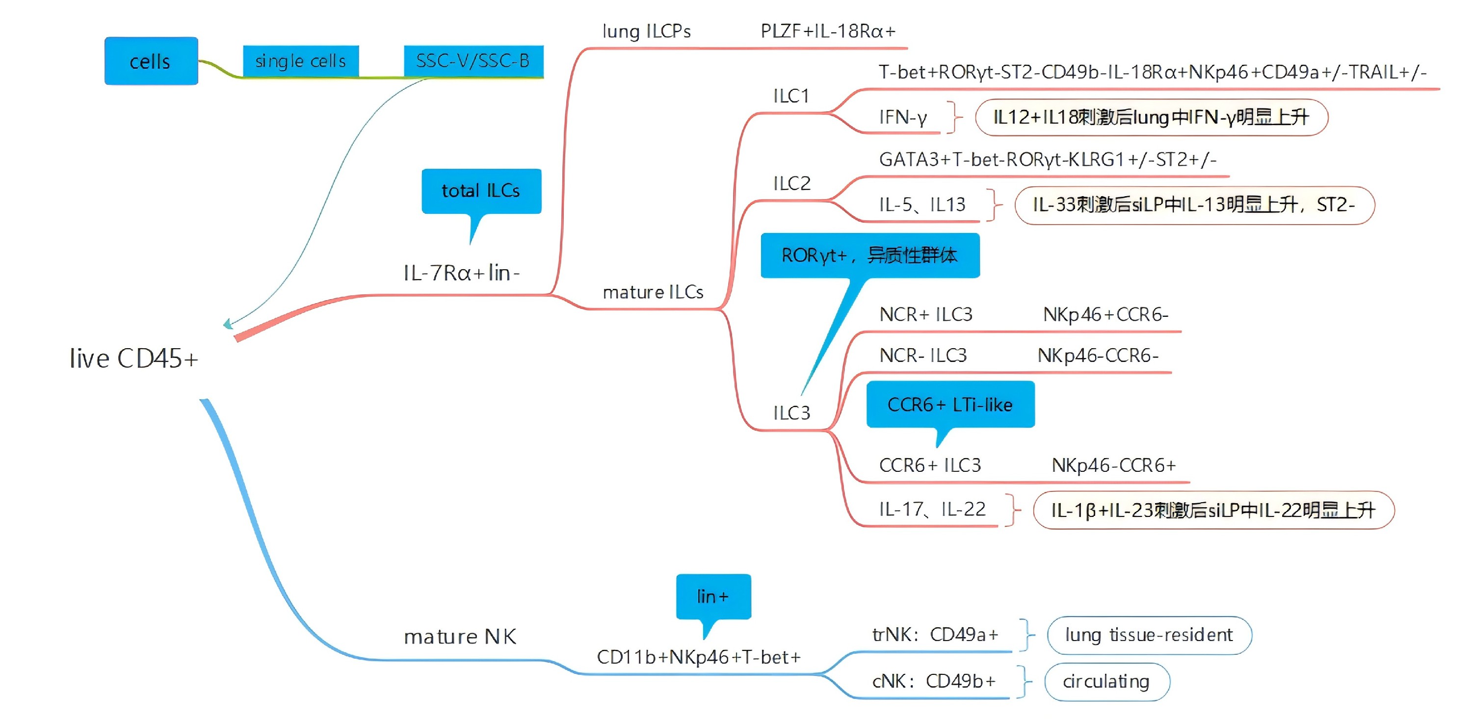 OMIP 86 小鼠肺和siLP中ILC 指标.jpg