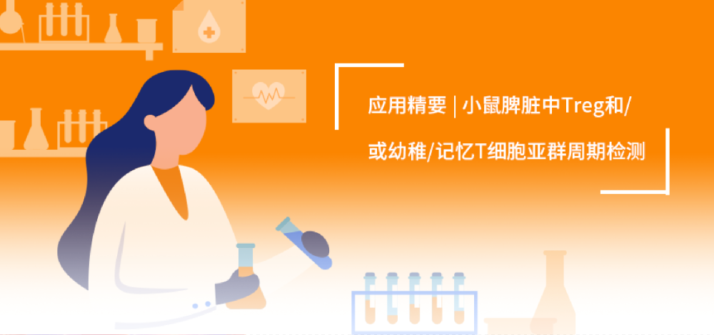 应用精要|OMIP-079：小鼠脾脏中CD4T和CD8T的幼稚/记忆亚型和Treg亚群的周期检测